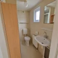 5-6-768x1024-1.webp